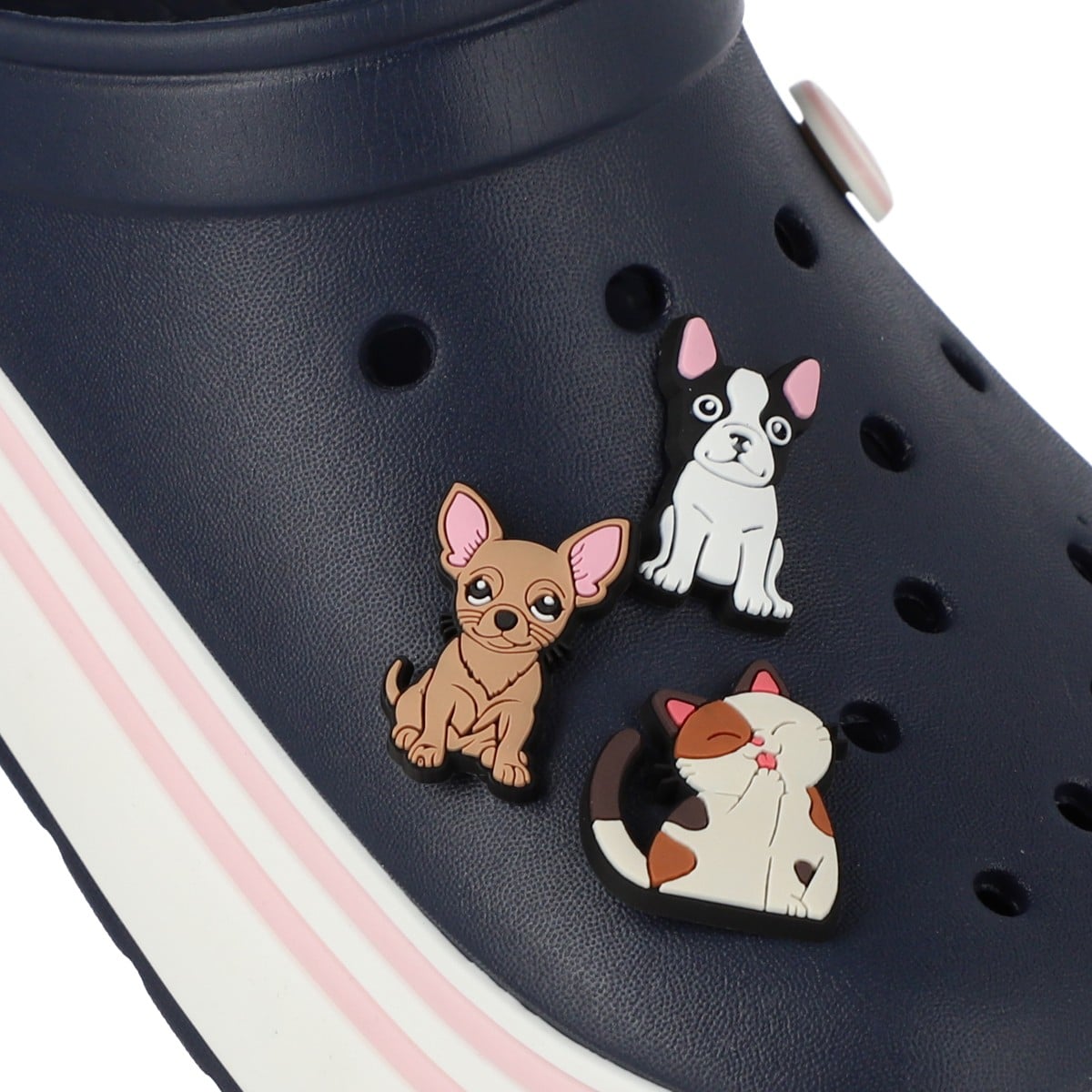 Bamits Pack Mascotas Multicolor